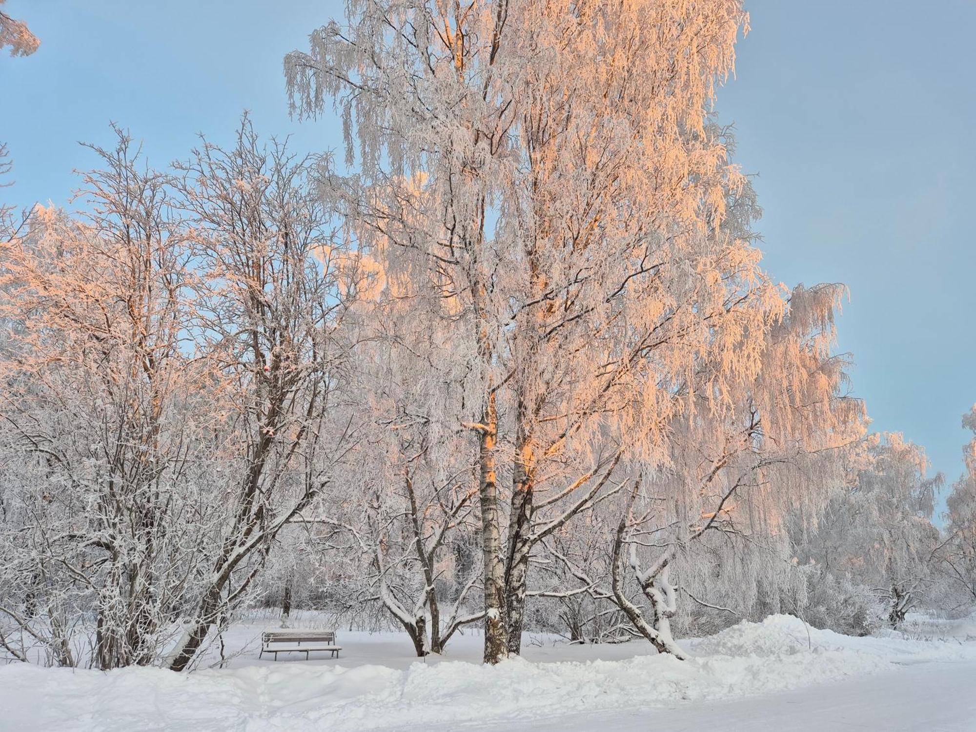 Appartamento Tilava Uudistettu Perheasunto Rovaniemi Esterno foto
